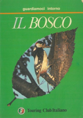 - - Il bosco.