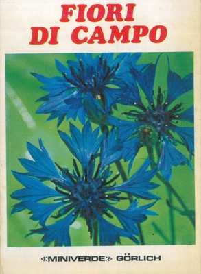 - - Fiori di campo.