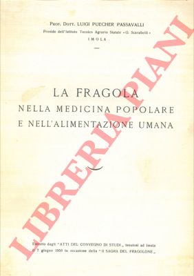 PUECHER PASSAVALLI Luigi - - La fragola nella medicina popolare e nell'alimentazione umana.