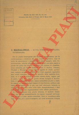 MASSALONGO C. - - Di una interessante pianta fanerogama.