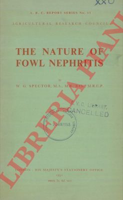 SPECTOR W. G. , ecc. - - The nature of fowl nephritis.