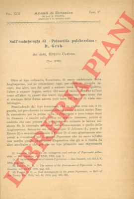 CARANO Enrico - - Sull'embriologia di 'poinsettia pulcherrima' R. Grah.