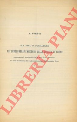 PORTIS A. - - Sul modo di formazione dei conglomerati miocenici della collina di Torino. Osservazioni a proposito della nota di L. Mazzuoli.