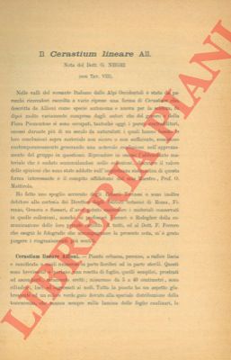 NEGRI Giovanni - - Il Cerastium lineare All.