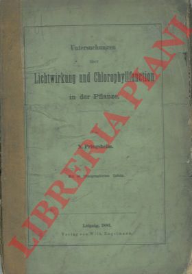 PRINGSHEIM N. - - Untersuchungen uber Lichtwirkung und Chlorophyllfunction in der Pflanze.