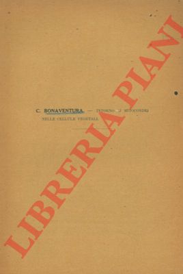 BONAVENTURA C. - - Intorno ai mitocondri nelle cellule vegetali.