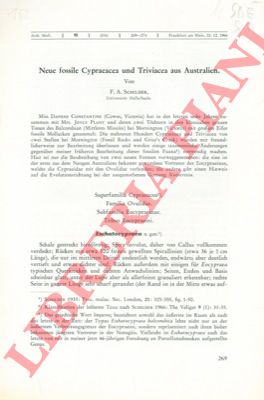 SCHILDER F. A. - - Neue fossile Cypraeacea und Triviacea aus Australien.