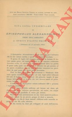 TROIS Enrico Filippo - - Nota sopra un esemplare di Epinephelus alexandrinus preso nell'Adriatico.