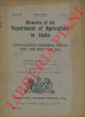 MANN Harold H. - HUTCHINSON C. M. - - Cephaleuros virescens, Kunze the 