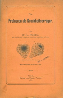 PFEIFFER L. - - Die Protozoen als Krankheitserreger.