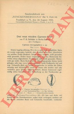 SCHILDER F. A. - - Drei neue miozane Cypraea - Arten.