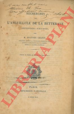 CHATIN Joannes - - Recherches sur l'anguillule de la betterave (Heterodera schachtii) .
