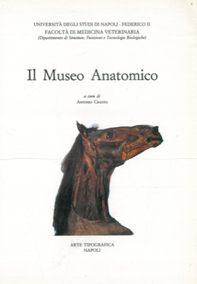 CRASTO Antonio - - Il Museo Anatomico.