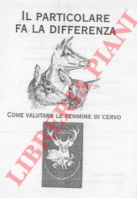 - - Il particolare fa la differenza. Come valutare le femmine di cervo.