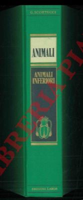 SCORTECCI Giuseppe - - Animali. Come sono. Dove vivono. Come vivono. + Insetti. + Animali inferiori.
