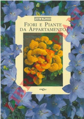 - - Fiori e piante da appartamento.