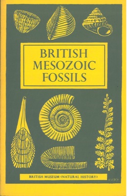 - - British mesozoic fossils.