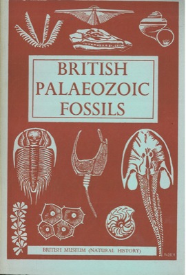 - - British palaeozoic fossils.