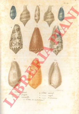 CHENU J.C. - - Conchyliologie. Leons lmentaires sur l'histoire naturelle des animaux prcedes d'un aperu gnral sur la zoologie. Ouvrage adress  Madame Franois Delessert.