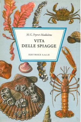 PEYROT-MADDALENA M. G. - - Vita delle spiagge.