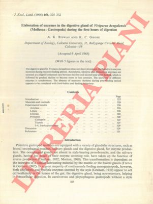 BISWAS A.K. - GHOSE K.C. - - Elaboration of enzymes in the digestive gland of Viviparus bengalensis (Mollusca: Gastropoda) during the first hours of digestion.