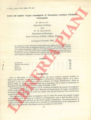 MICALLEF H. - BANNISTER W.H. - - Aerial and aquatic oxygen consumption of Monodonta turbinata (Mollusca: Gastropoda)