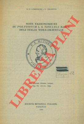LORENZONI G.G. - ZILLOTTO U. - - Note tassonomiche su Polygonum L. e Tiniaria Meisn. dell'Italia Nord-Orientale.