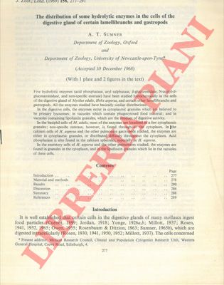 SUMNER A.T. - - The distribution of some hydrolytic enzymes in the cells of the digestive gland of certain lamellibranchs and gastropods.