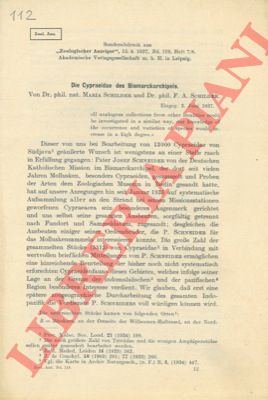 SCHILDER Maria und F.A. - - Die Cypraeidae des Bismarckarchipels.