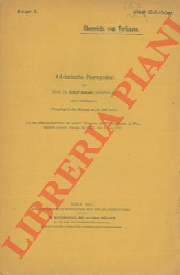 STEUER Adolf - - Adriatische Pteropoden.