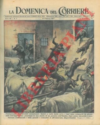 MOLINO W. - - Spinti a valle dalla neve, i lupi penetravano in una stalla in un paesino dell'Emilia e sbranavano i cani.