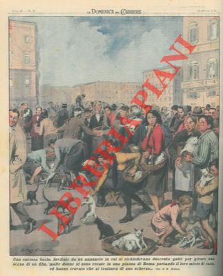 MOLINO W. - - Invitate da un annuncio in cui si richiedevano duecento gatti per un film, molte donne si recano in una piazza di Roma, ma trovano che  uno scherzo.