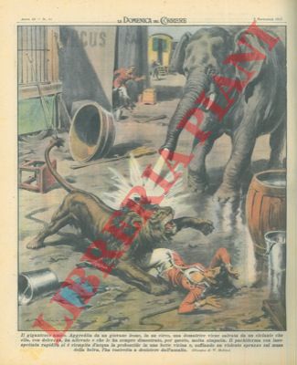 MOLINO W. - - Aggredita da un giovane leone, in un circo, una domatrice viene salvata da un elefante.