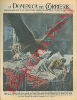 MOLINO W. - - Presso Ventimiglia un'aquila penetra da una finestra in un casolare e piomba sul letto dove dormono due coniugi.... uccisa!