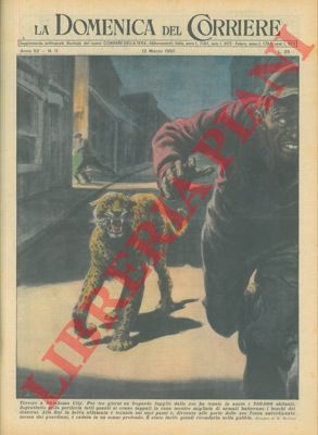 MOLINO W. - - Leopardo fuggito dallo zoo veniva ricondotto nella gabbia dopo tre giorni.