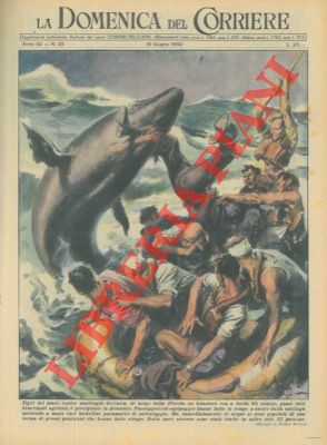 MOLINO W. - - Gran parte dei passeggeri e dell' equipaggio di un bimotore precipitato in Atlantico uccisi da grossi pescicani.
