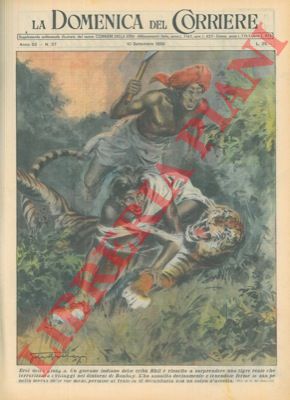 DE GASPARI G. - - Tigre reale che terrorizzava i villaggi nei dintorni di Bombay decapitata da due eroici fratelli.