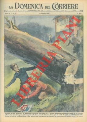 DE GASPARI G. - - Albero segato alla base si abbatteva su due bambini che giocavano ai suoi piedi.