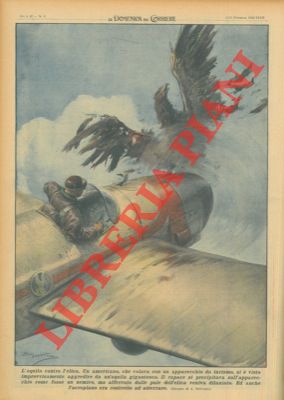 BELTRAME A. - - Aquila contro elica. Un americano che volava con un apparecchio da turismo, si  visto improvvisamente aggredire da un'aquila gigantesca ...