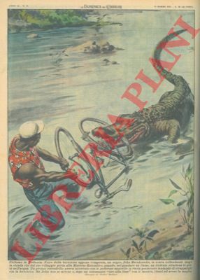 MOLINO W. - - Negro riesce ad avere la meglio contro un coccodrillo che tenta di strappargli via la bicicletta.