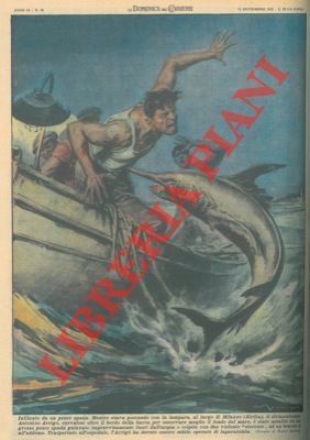 MOLINO W. - - Diciassettenne infilzato da un pesce spada mentre stava pescando.