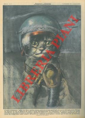 DE GASPARI G. - - Gattino soriano, mascotte di una squadra da caccia dislocata presso Chicago, supera in volo la barriera del suono.