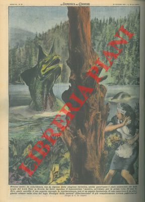DE GASPARI G. - - Avvisato nelle acque del Loch Ness in Scozia un mostro avvistato per la prima volta vent'anni fa.