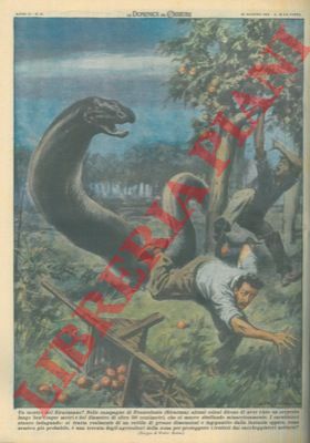 MOLINO W. - - Avvistato a Francofonte (Siracusa) un serpente lungo ben cinque metri e del diametro di oltre 50 centimetri (!).