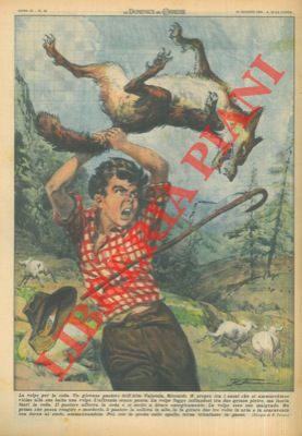 FERRARI R. - - Giovane pastore uccide senza paura una volpe afferrandola per la coda e lanciandola al suolo !!.