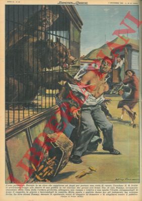MOLINO W. - - Orso colpiva a una spalla un uomo che si era avvicinato alla sua gabbia mentre portava una cesta di carote.
