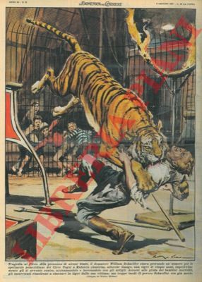 MOLINO W. - - Domatore viene ucciso da una tigre mentre prova un numero per lo spettacolo pomeridiano alla presenza di alcuni bimbi.