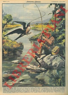 MOLINO W. - - A Dro mentre un pescatore affondava l'esca nelle acque di un torrente, l'amo si conficcava nel becco di una rondine.