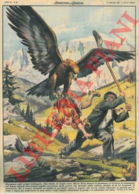 MOLINO W. - - A Zambana una bimba di 5 anni viene ghernita da un'aquila ma salvata dal nonno che con un badile riesce a liberarla.