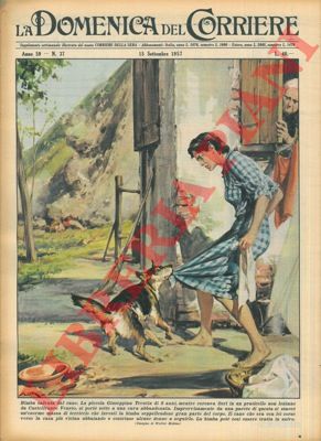 MOLINO W. - - A Castelfranco Veneto una bimba seppellita da una massa di terriccio,  salvata dal cane che and ver so la casa pi vicina e costrinse alcune donne a seguirlo.